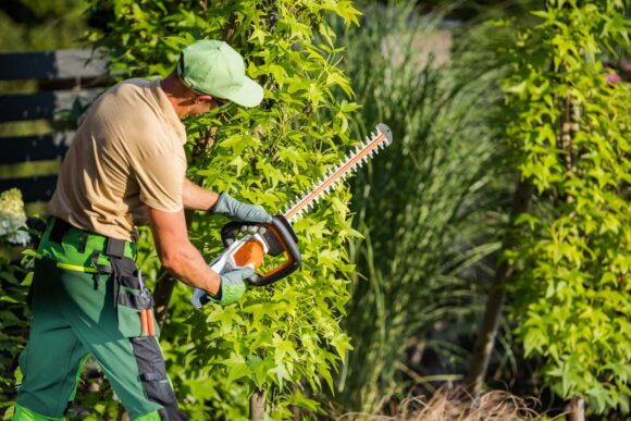 Landscaper
