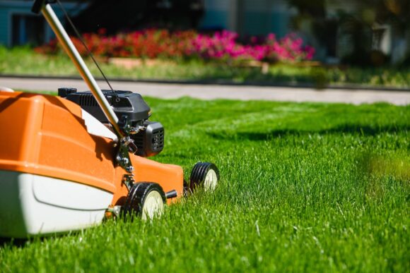 Mower